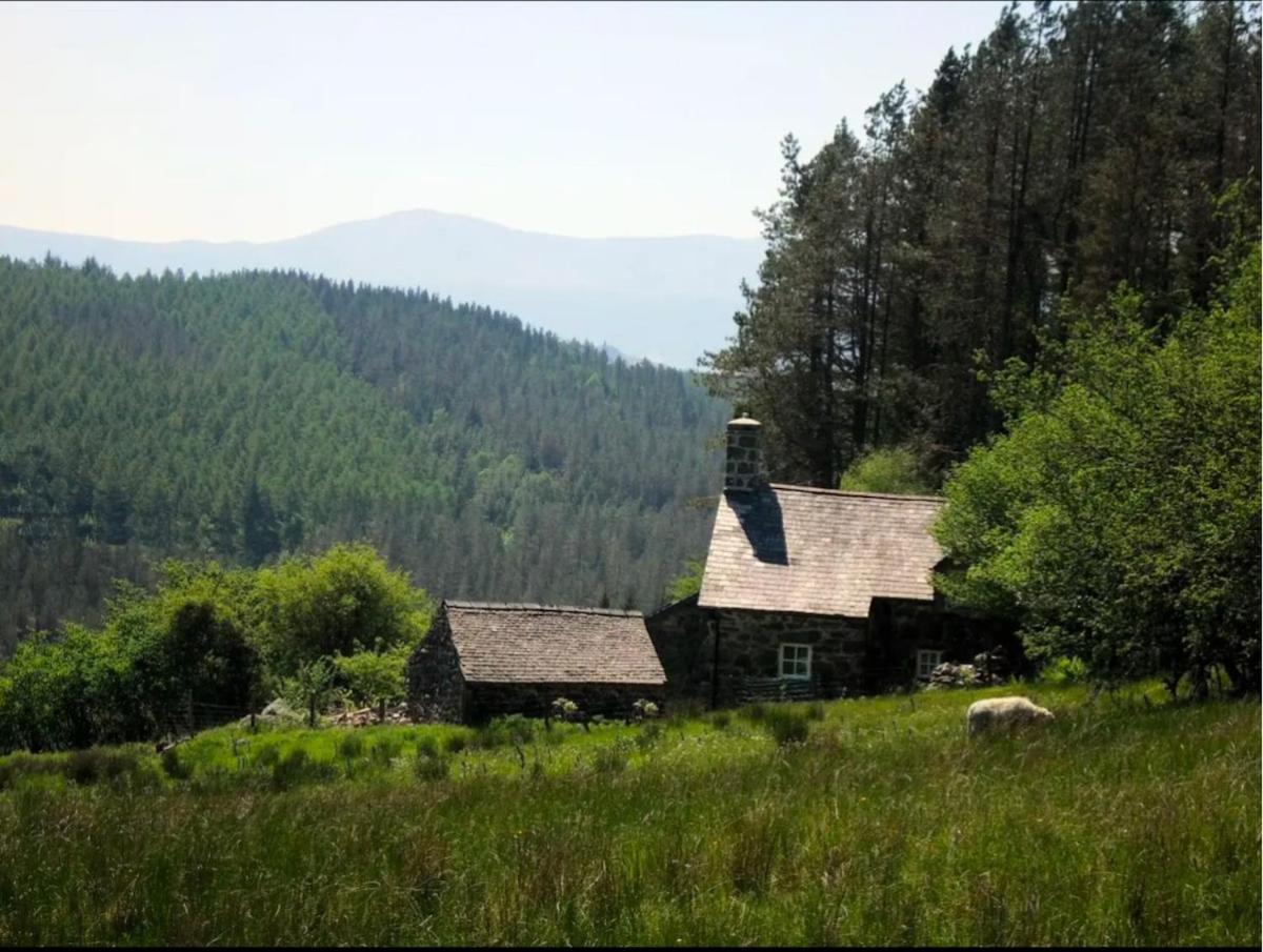 Tyn Y Simdde - Secluded Mountain Stay - Stunning Views Of Eryri Dolgellau Εξωτερικό φωτογραφία